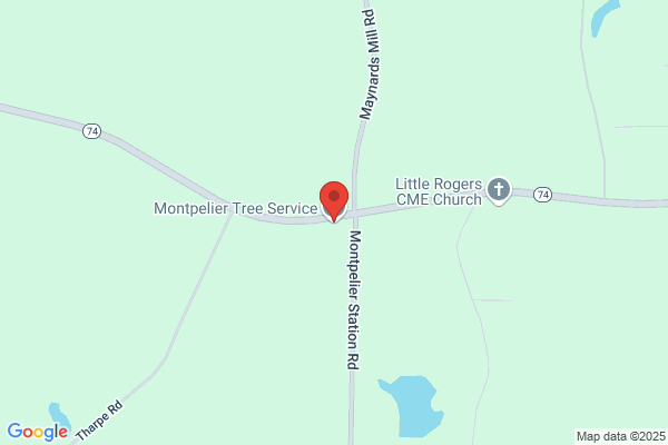 Montpelier Tree Service