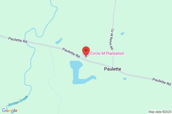 Circle M Plantation