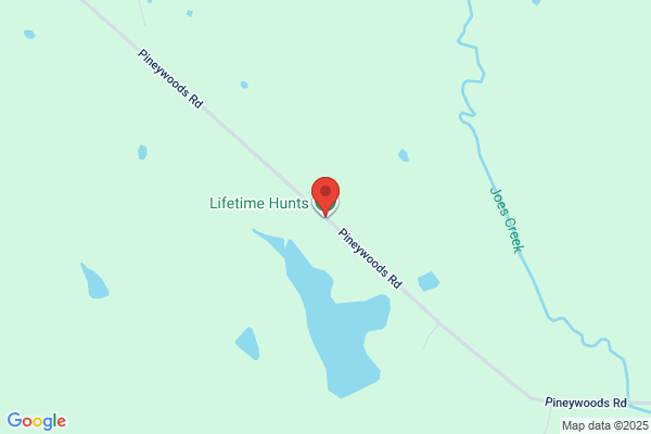 Lifetime Hunts Llc