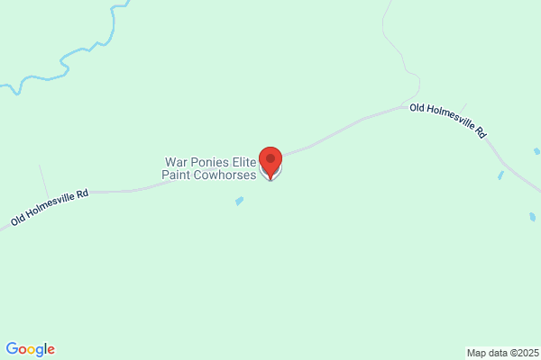 Wrj Paint Horse Ranch