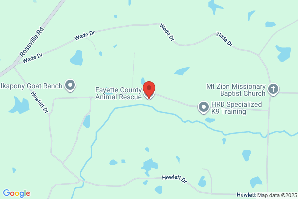 Fayette County Animal Rescue