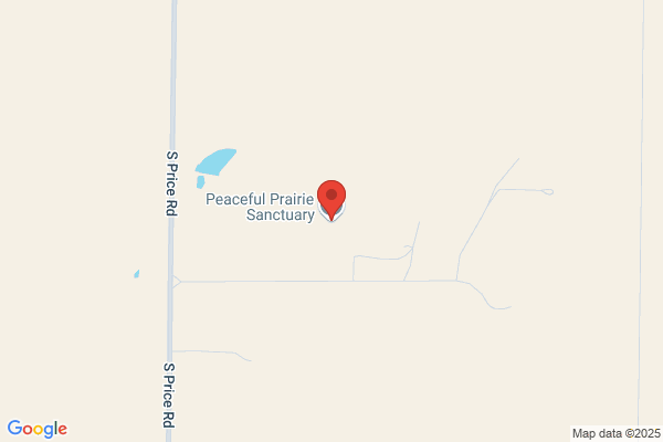 Peaceful Prairie