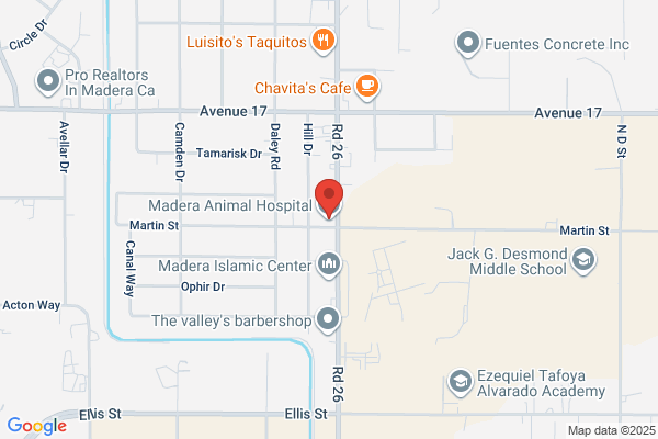 Madera Animal Hospital
