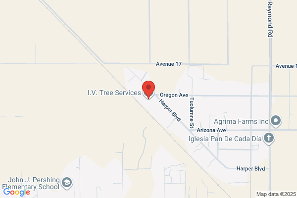 Upright Tree Specialists