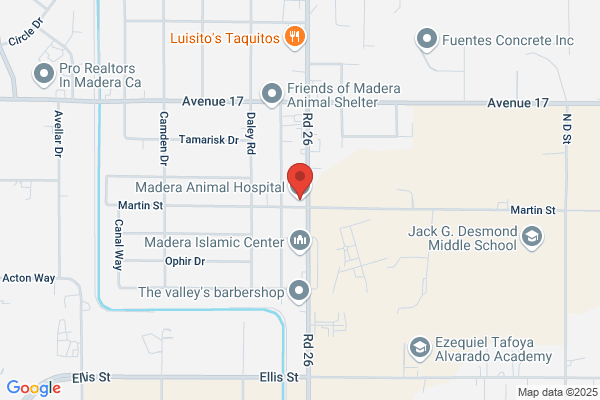Madera Animal Hospital