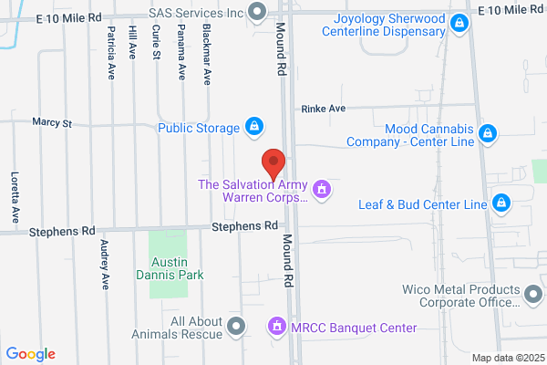 Tree Care in Warren Mi