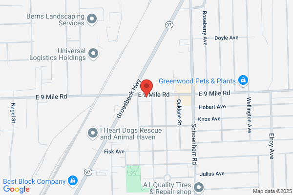Jea Automotive Group