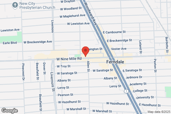 Balkan House Ferndale