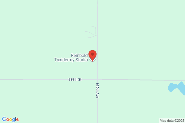 Reinbold Taxidermy Studio