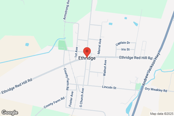 Ethridge, Julie - Family Counseling of Madison