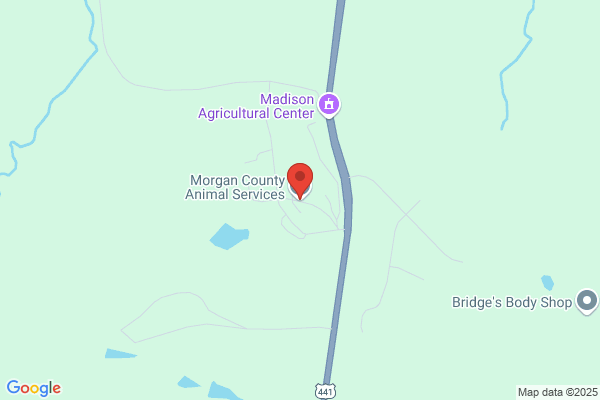 Morgan County of, Animal Control