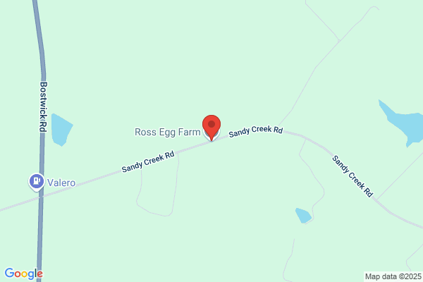Ross Egg Farm
