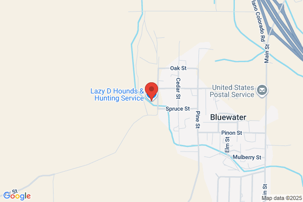 Lazy D Outfitters