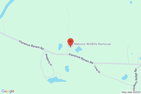 Hilltop Wildlife And Pest Control