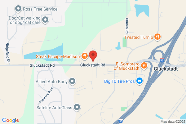 Gluckstadt Animal Hospital
