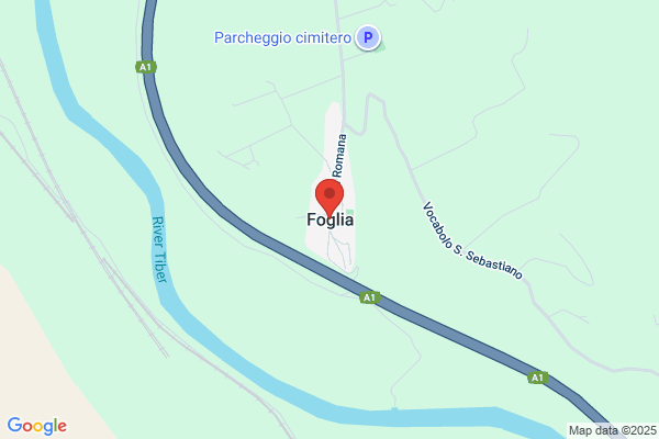 Foglia Jos A