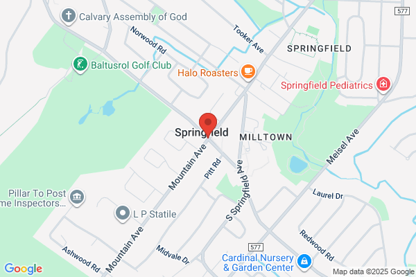 Springfield Township of, Fire Business