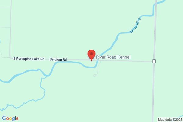 River Road Kennels