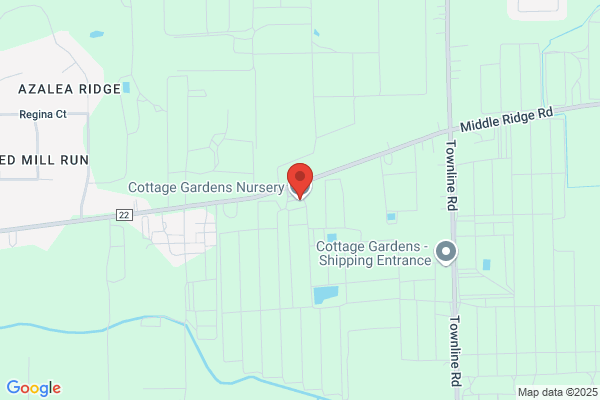 Cottage Gardens Nursery