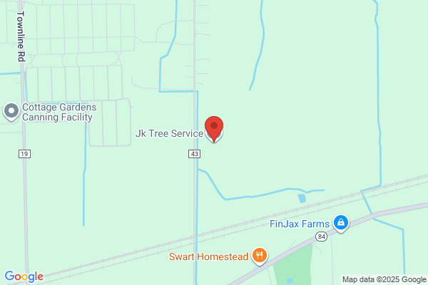 J & M Tree Service