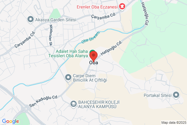 OBA HOLLIE, MD