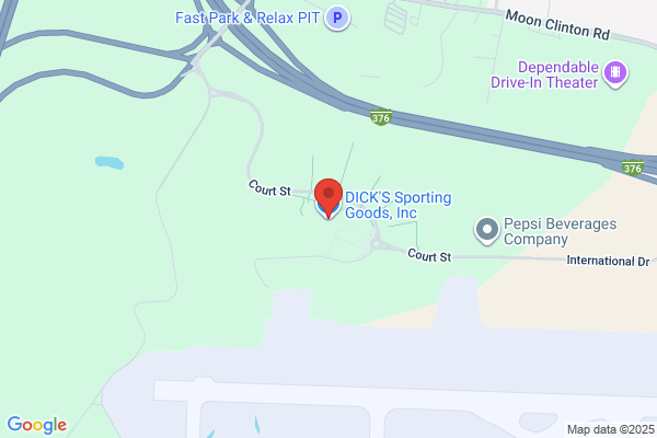 Dick's Sporting Goods Inc