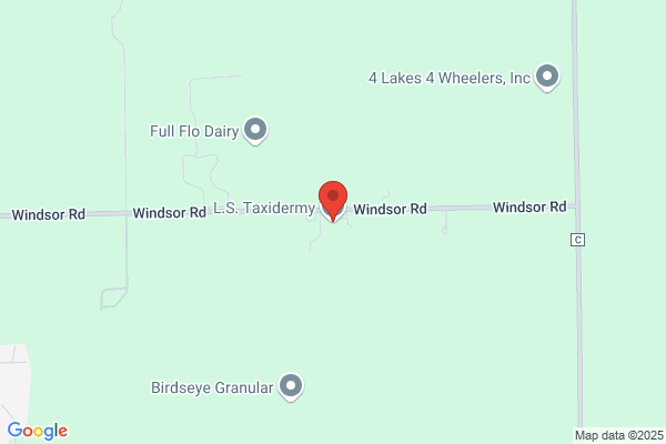 4 Lakes Taxidermy