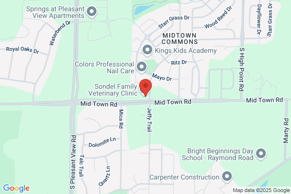 Irongate Equine Clinic
