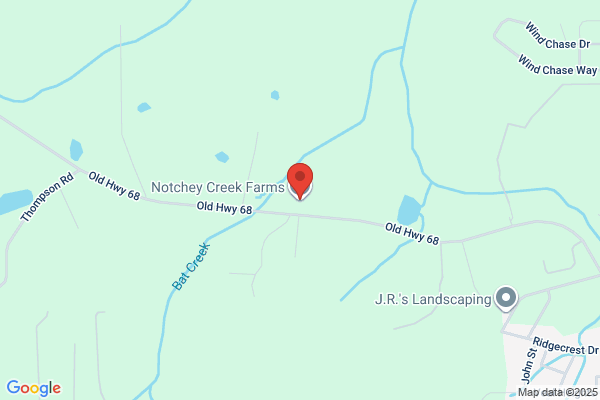 Notchey Creek Motor Sales