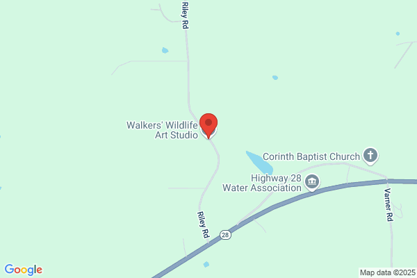 Walkers' Wildlife Art Studio