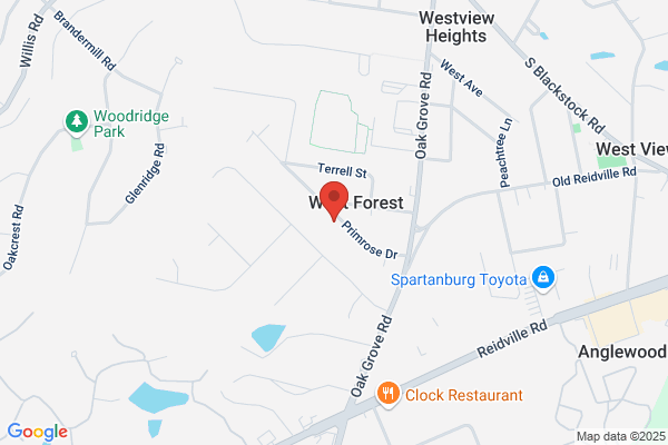 Case Tree Service