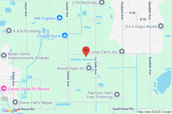 carpet cleaning Xperts