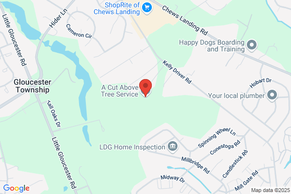 Clean Cuts Tree Service Inc