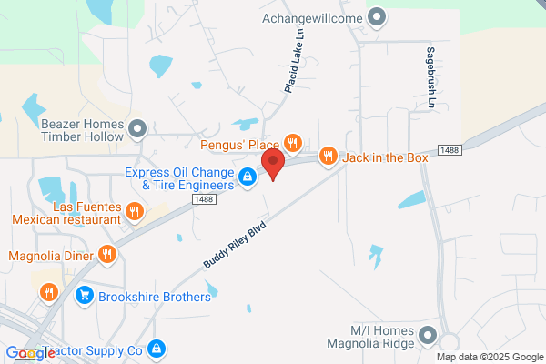 AutoZone Auto Parts