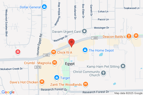 Castle Dental & Orthodontics