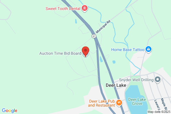 Blum Auction Service