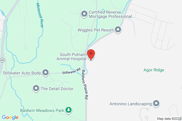 South Putnam Animal Hospital