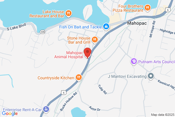 Mahopac Animal Hospital