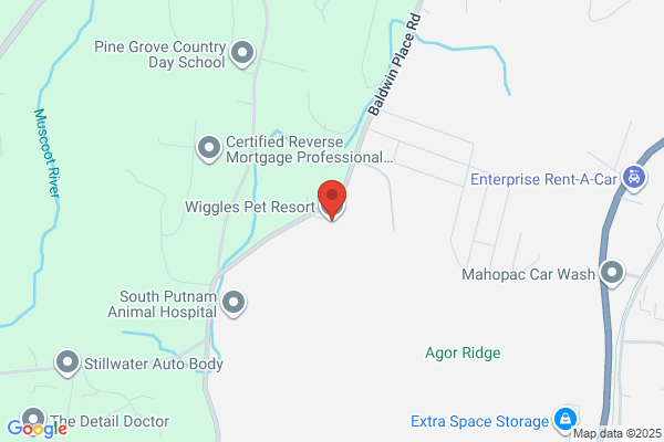 Wiggles Pet Resort