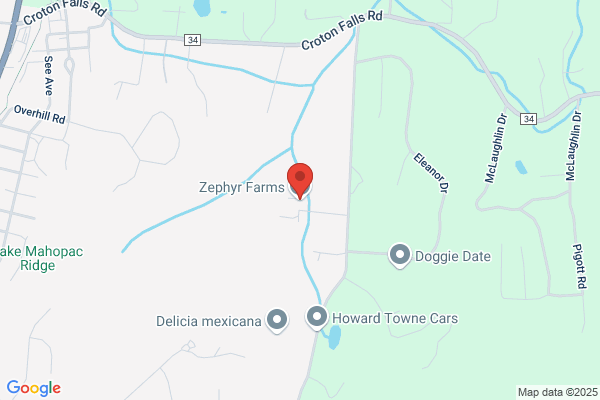 Zephyr Farms Inc