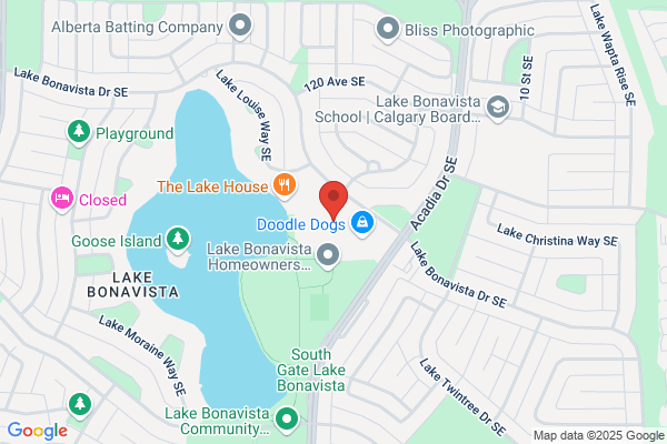 Foot Institute - Calgary