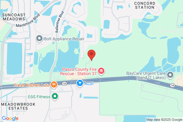 Florida Design Consultants