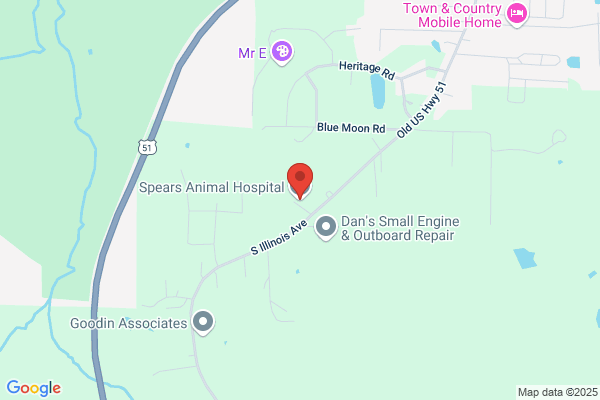Spears Animal Hospital