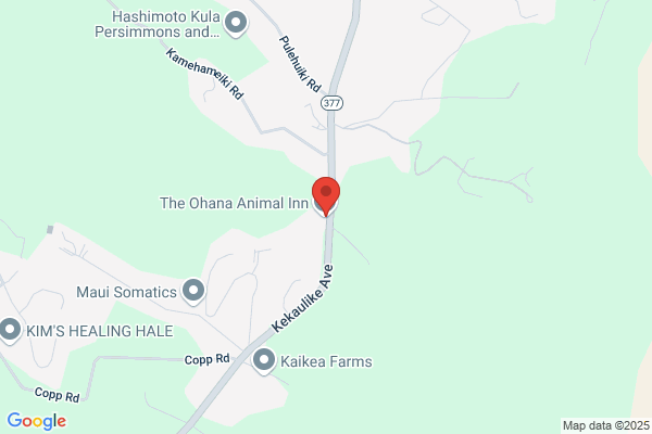 Aloha Pet Sitters