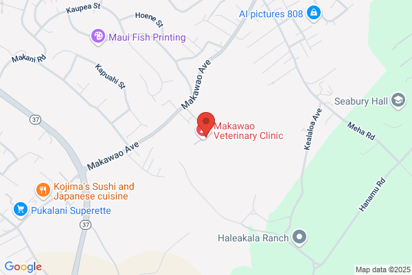 Makawao Boarding Kennel