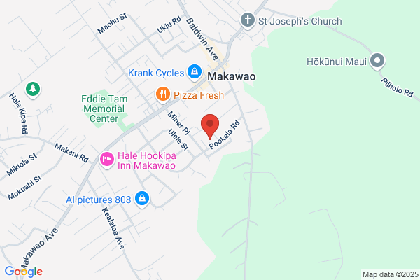 Kanoho Netta Scribbler Enterprises