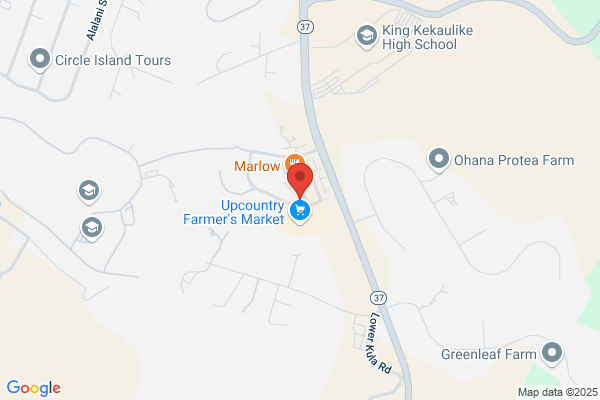 NAPA Auto Parts - United Auto Parts, Inc. - Kulamalu