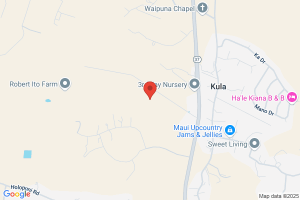 Mauka Physical Therapy Inc