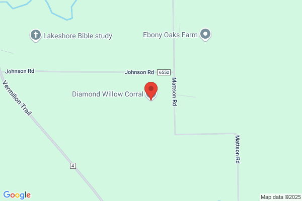 Diamond Willow Corral