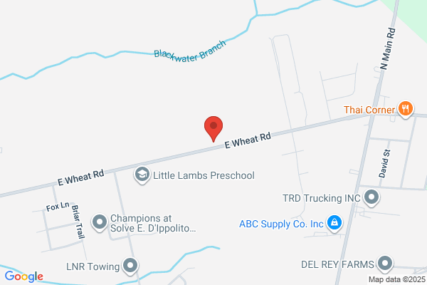 ACC Tree Service